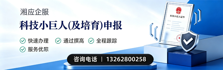 新乡科技小巨人及培育企业申报服务