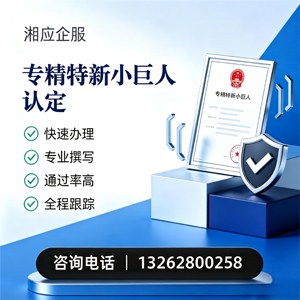新乡专精特新小巨人申报服务