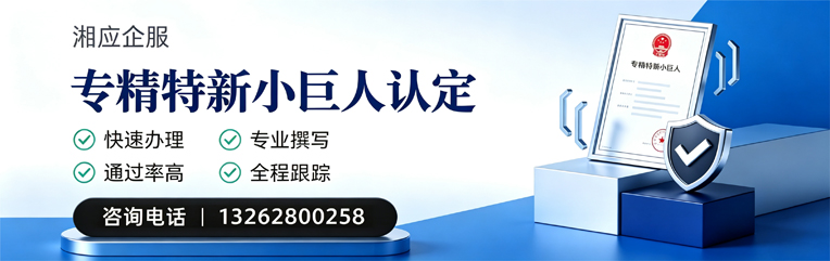 新乡专精特新小巨人申报服务